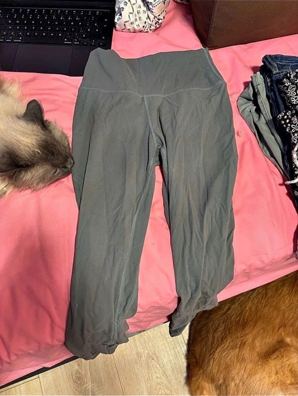 Lululemon Align High-Rise Pant 25" Gray Jogger Pants